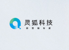 头部电商服务商灵狐科技双11报告深度解读 6拼之阵+9大营销趋势