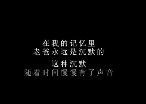 蓝标-奥迪“车主故事”