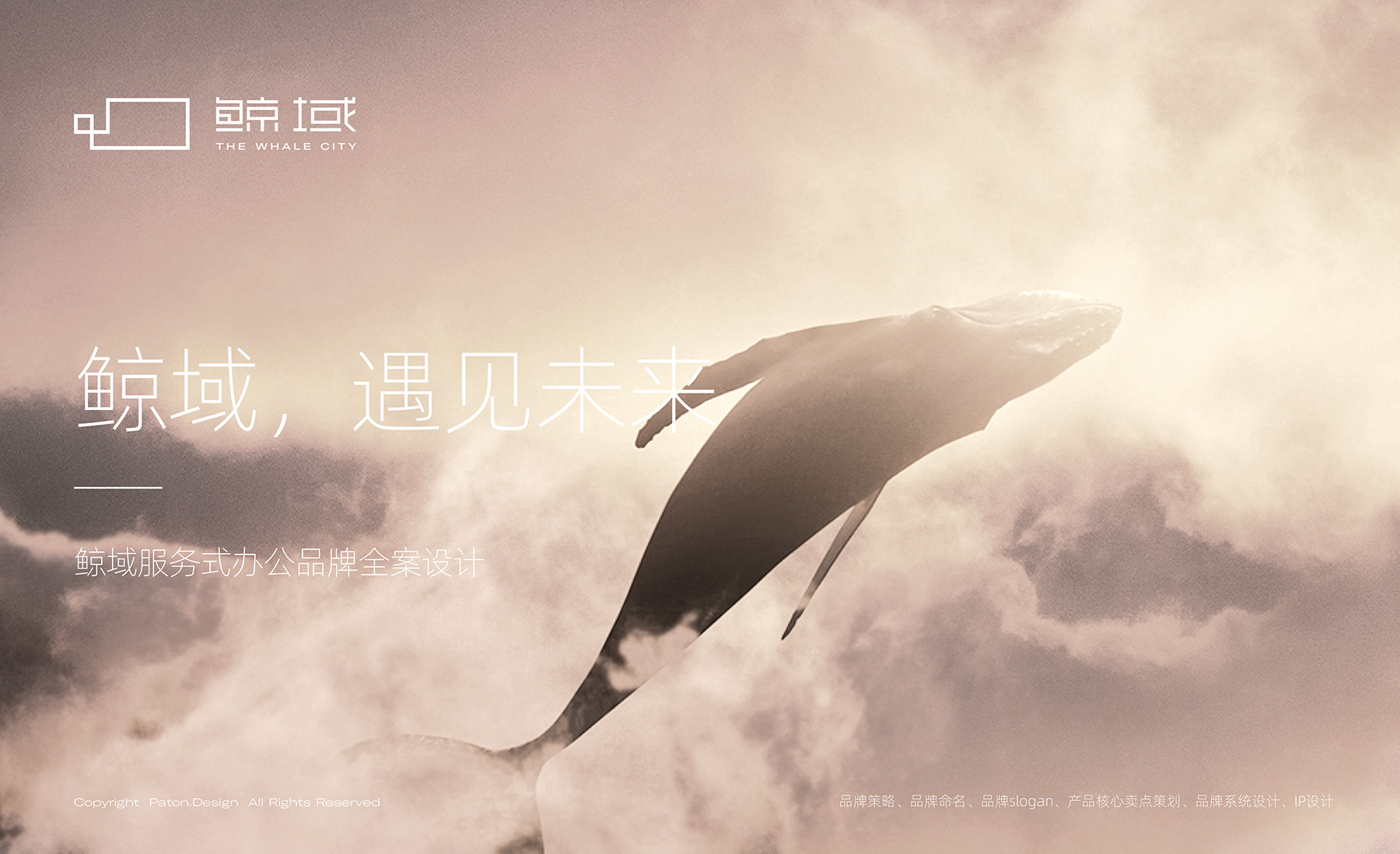 鲸域服务式办公品牌全案策划