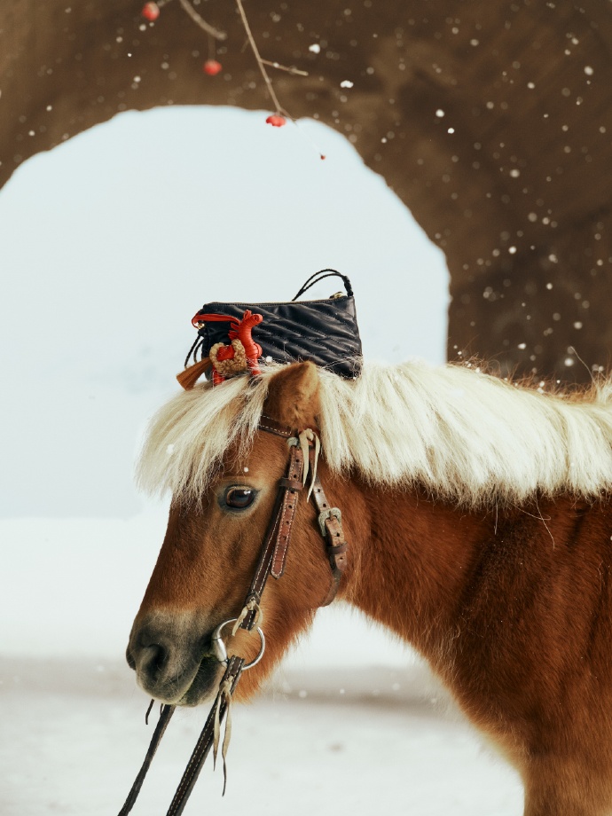 Songmont 邀你在雪地里，一同「纵马逐乐」