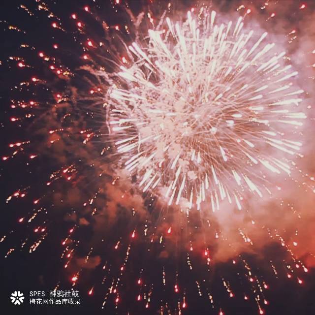 adidas neo #趁现在#：以清新活力去挑战夏天、向常规宣战！