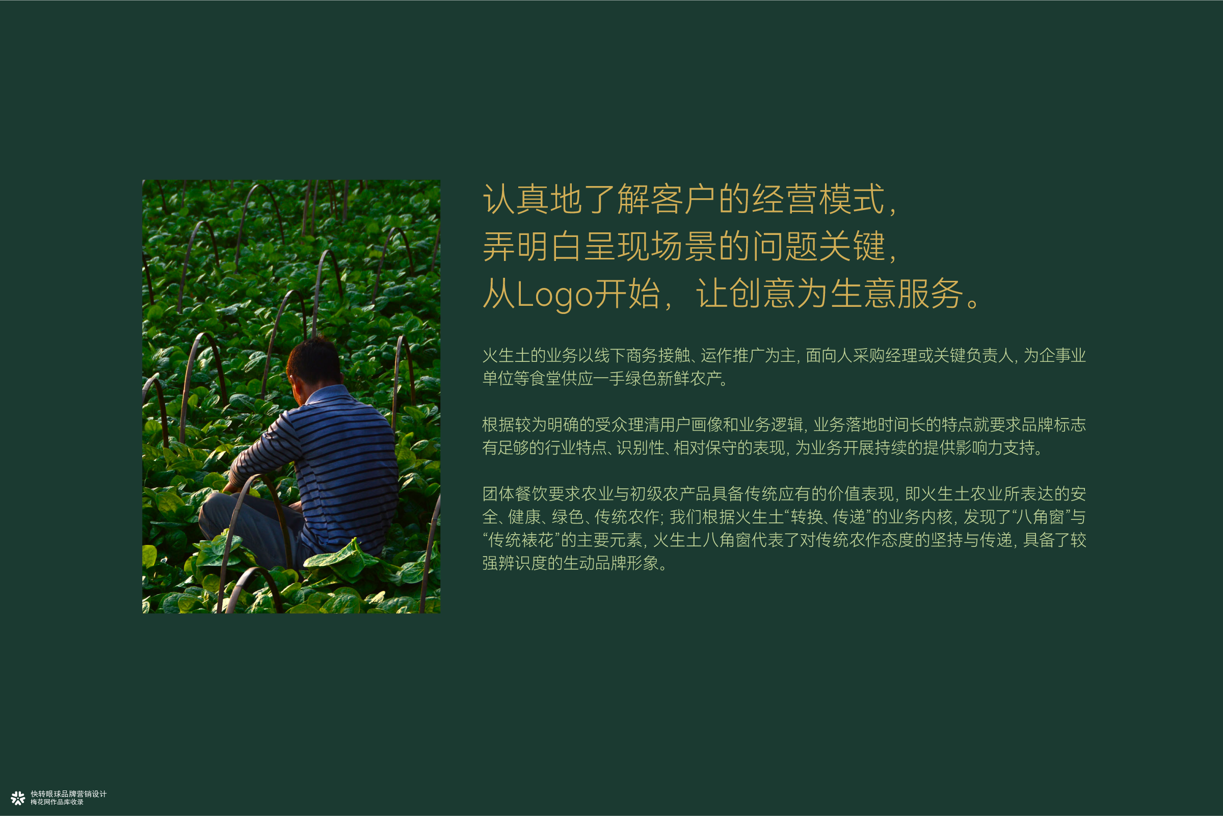 火生土农业发展品牌logo设计