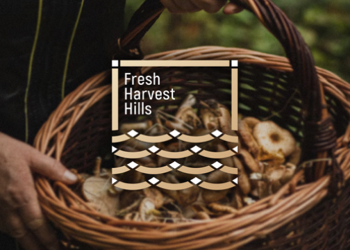 遇义设计丨三只松鼠 集鲜山品牌设计丨山不在高 有鲜则名