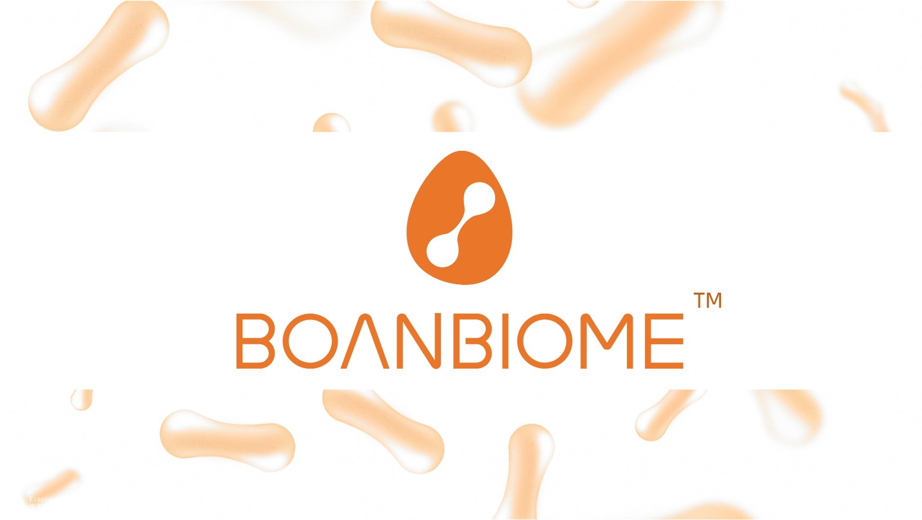 象鸟设计x珀衍君益生菌全案品牌设计