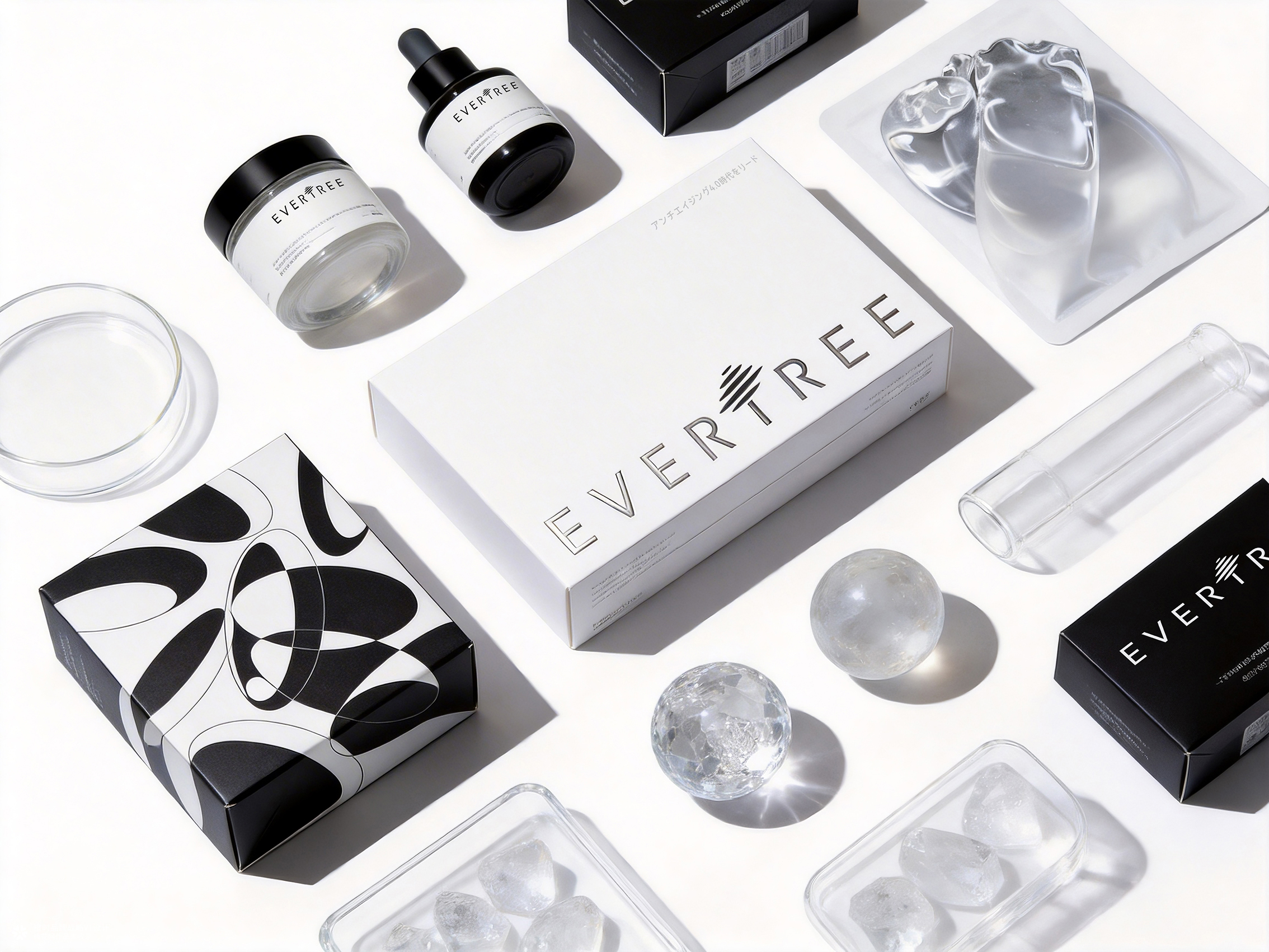 橙时 X 冻零树 | EVERTREE品牌形象设计