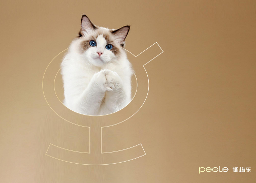 佩格乐 | 宠物食品品牌策划与包装设计