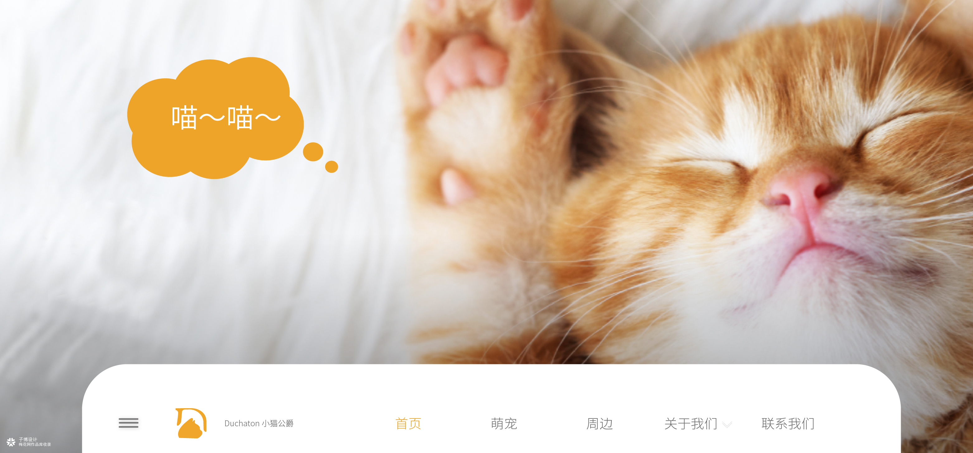 猫公爵｜猫舍品牌官网设计