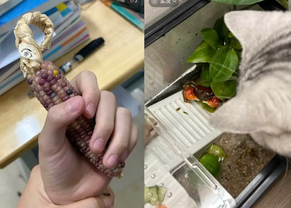 叮咚买菜的选品，“癫”出了一条情绪赛道