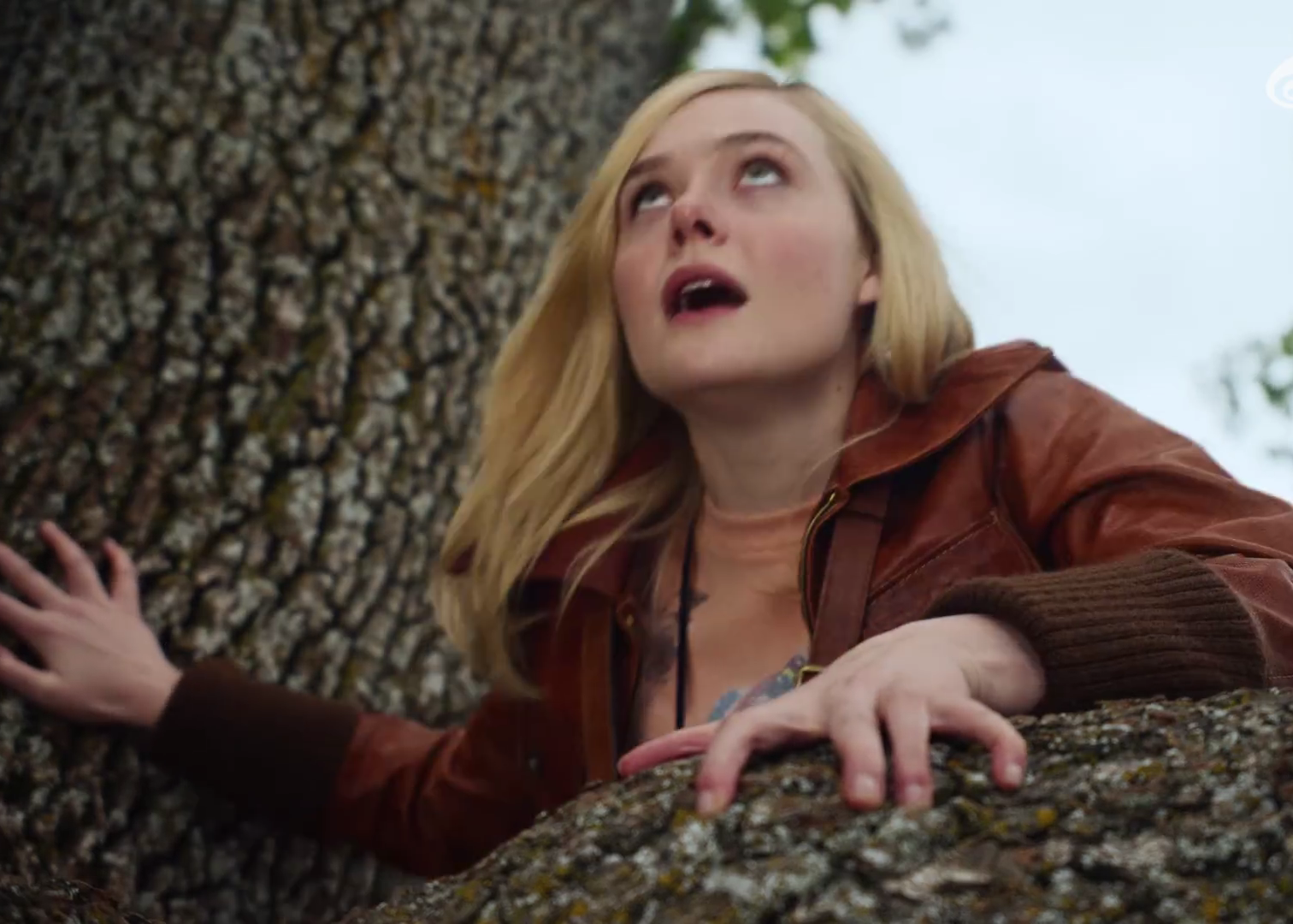 COACH携Elle Fanning，邀你寻回无畏进取的勇气