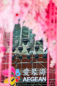 世纪樱花：世纪樱花×爱琴海集团联合打造的治愈花园美学展