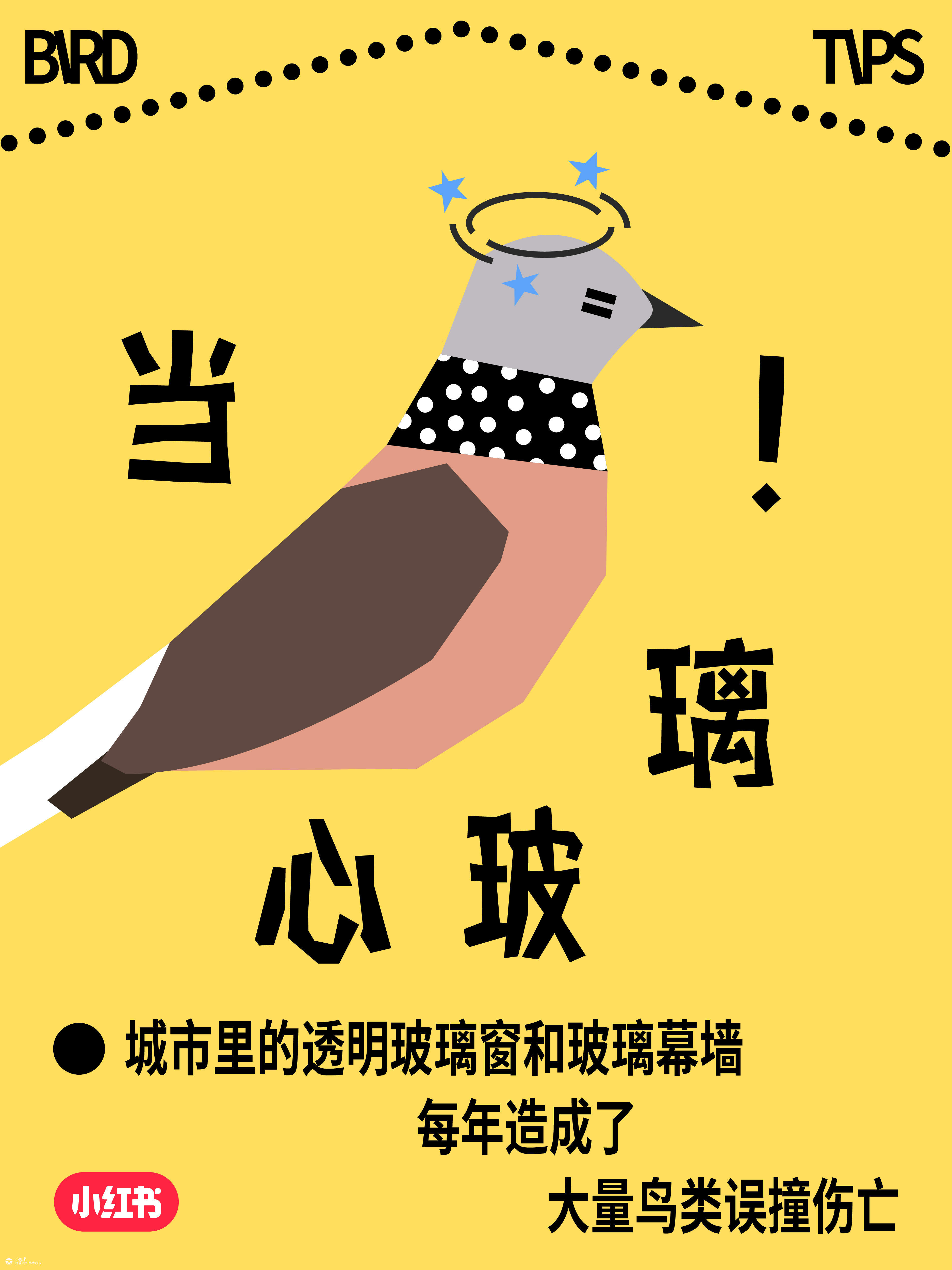 国际爱鸟日：人，小鸟有话对你说