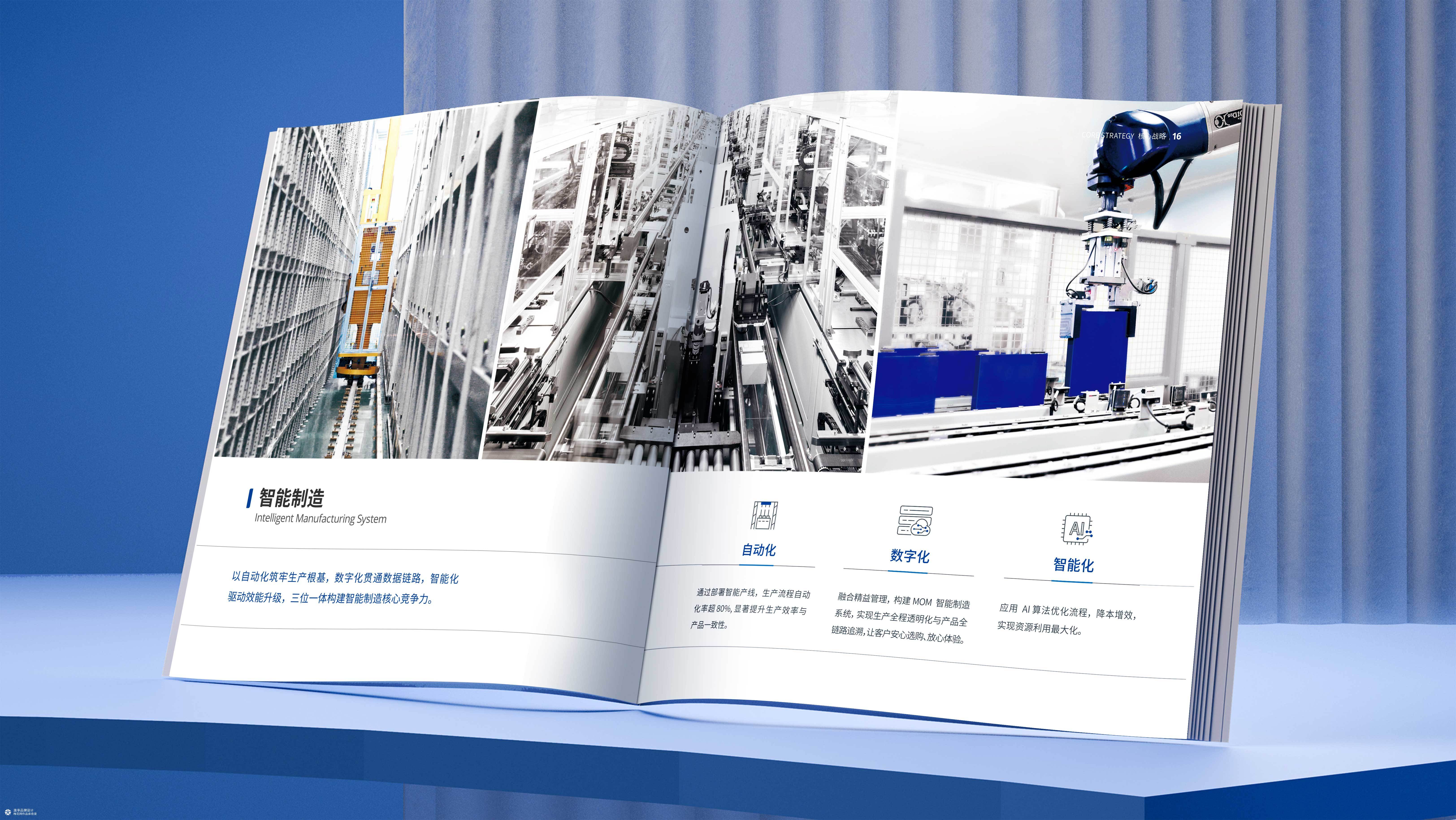 山东发展集团&圣阳股份新能源画册