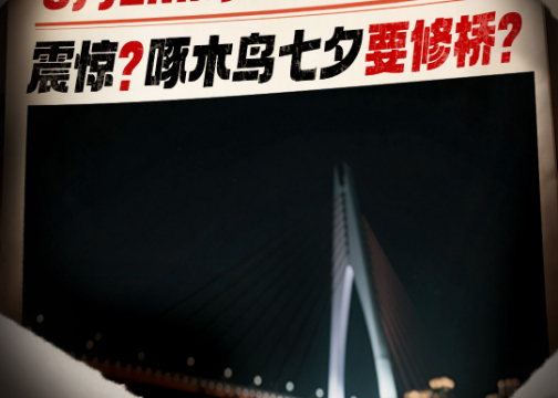 七夕悬念海报：听说啄木鸟七夕要修桥？