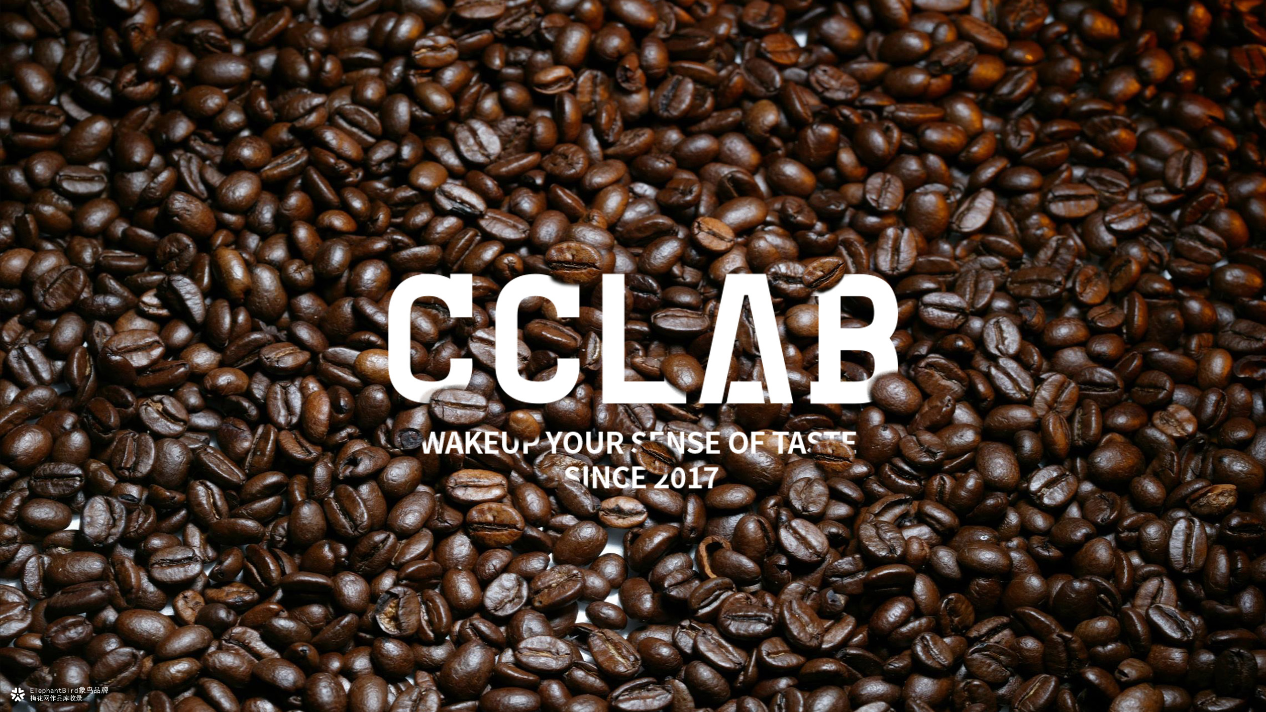 象鸟 × CCLAB Coffee Drand Design