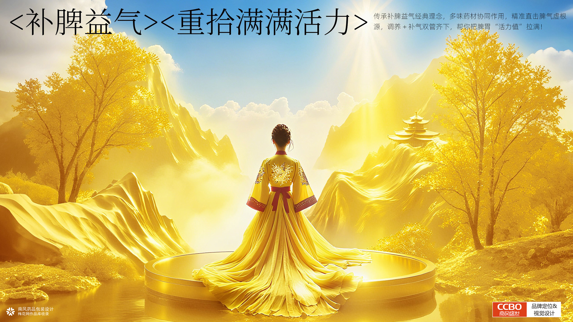 中药包装盒设计，参芪十一味颗粒中药包装盒设计