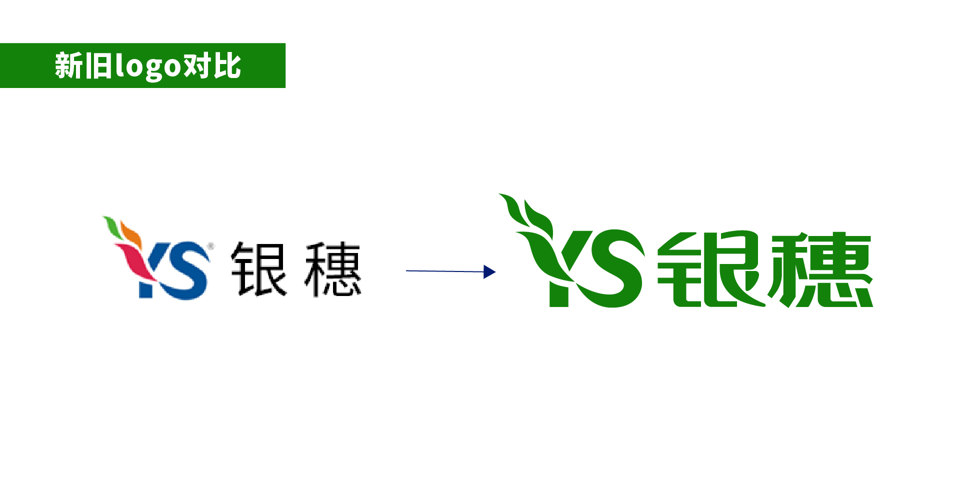 包装 仿石漆 腻子粉 品牌策划 涂料包装 涂料包装设计