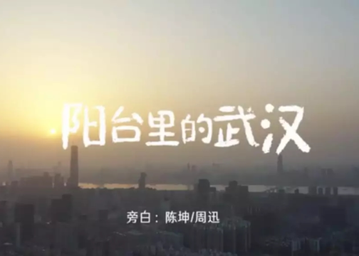 陈坤 x 周迅配音，公益短片《阳台里的武汉》刷屏！
