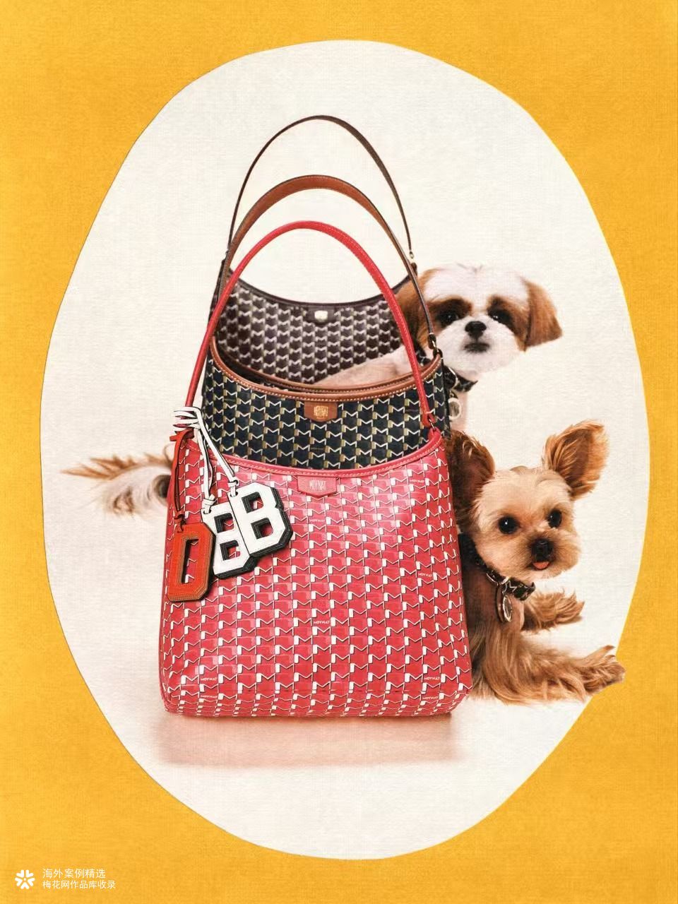Moynat 520：将宠爱装进包里