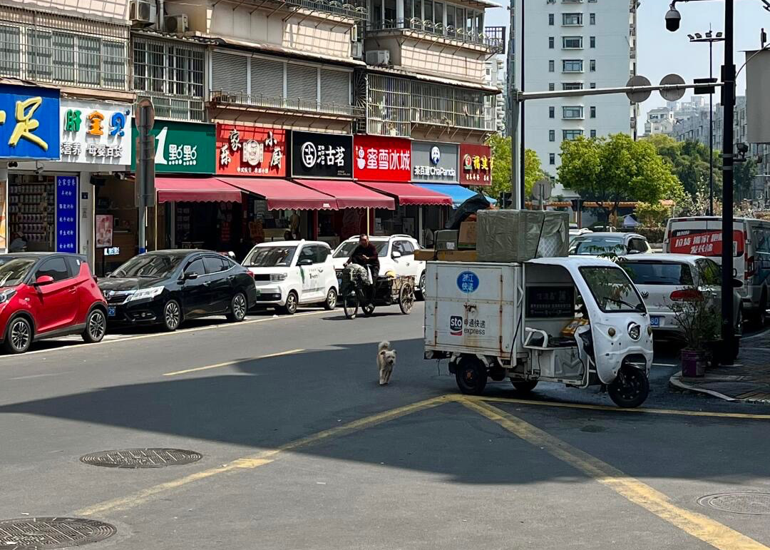 县城消费，靠的不是“婆罗门”