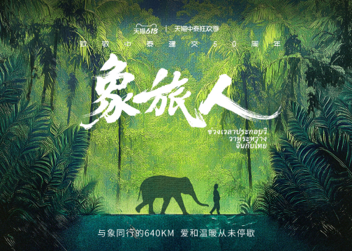 天猫短片《象旅人》：致敬中泰建交 50 周年暖心呈现