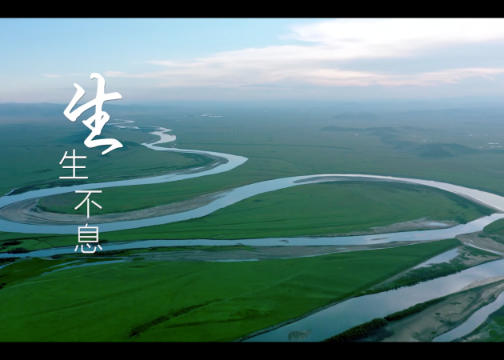 为中国民生银行创作拍摄的2022《生生不息》形象宣传片