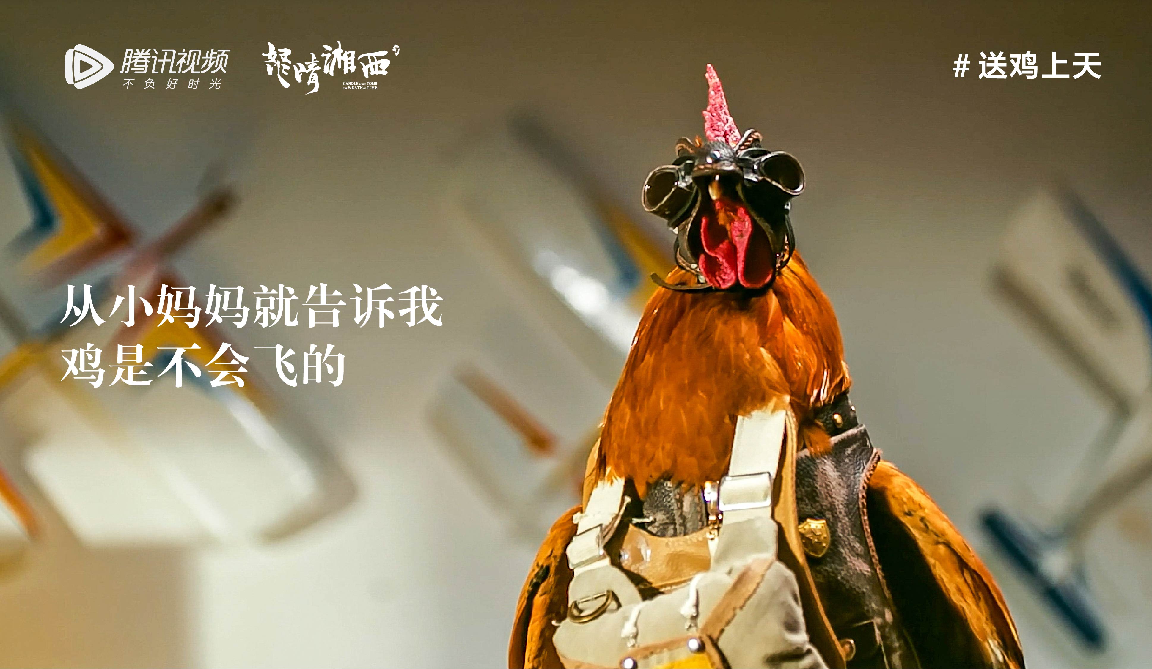 腾讯视频《上海环球港养了“一群活鸡”？》系列海报