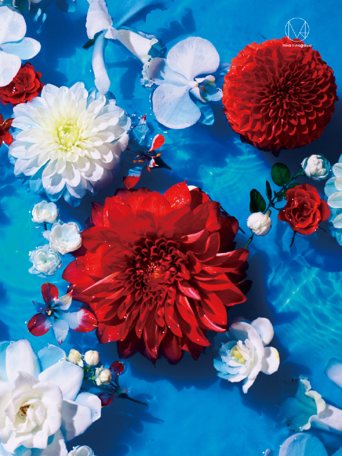 茉莉奶白携手蜷川实花共创漂亮花园