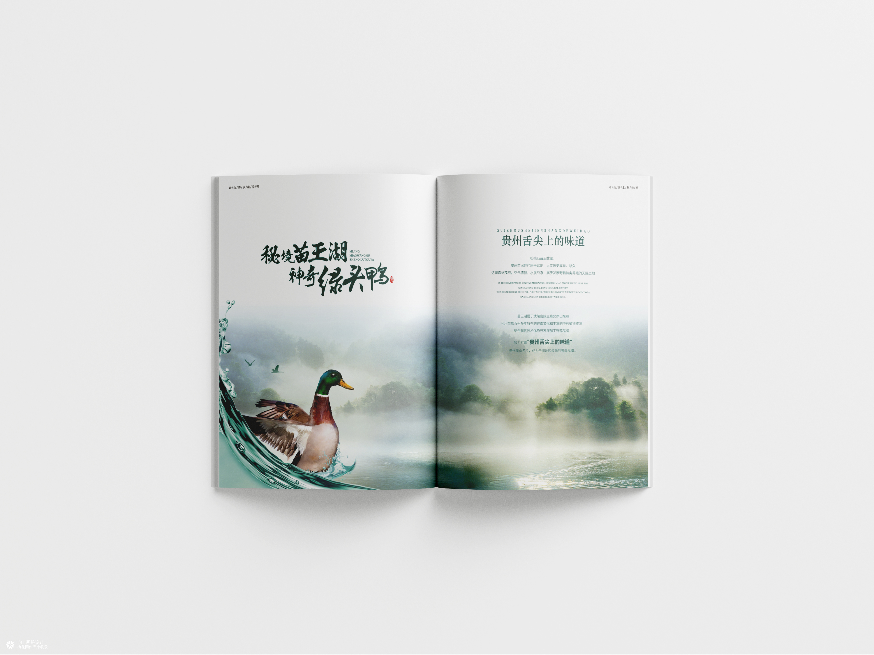 向上画册设计·原创案例｜贵州苗王湖野鸭产品品牌画册