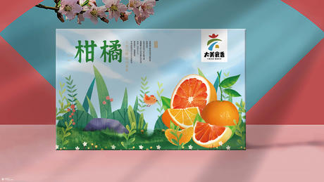 苹果包装设计橙子包装西瓜包装大枣脐橙水果包装设计礼盒设计手绘插画