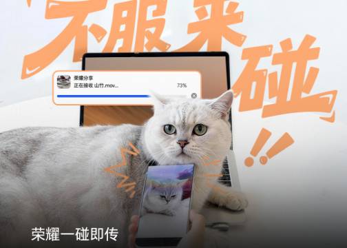 荣耀MagicOS：你见过隔着猫传文件吗？
