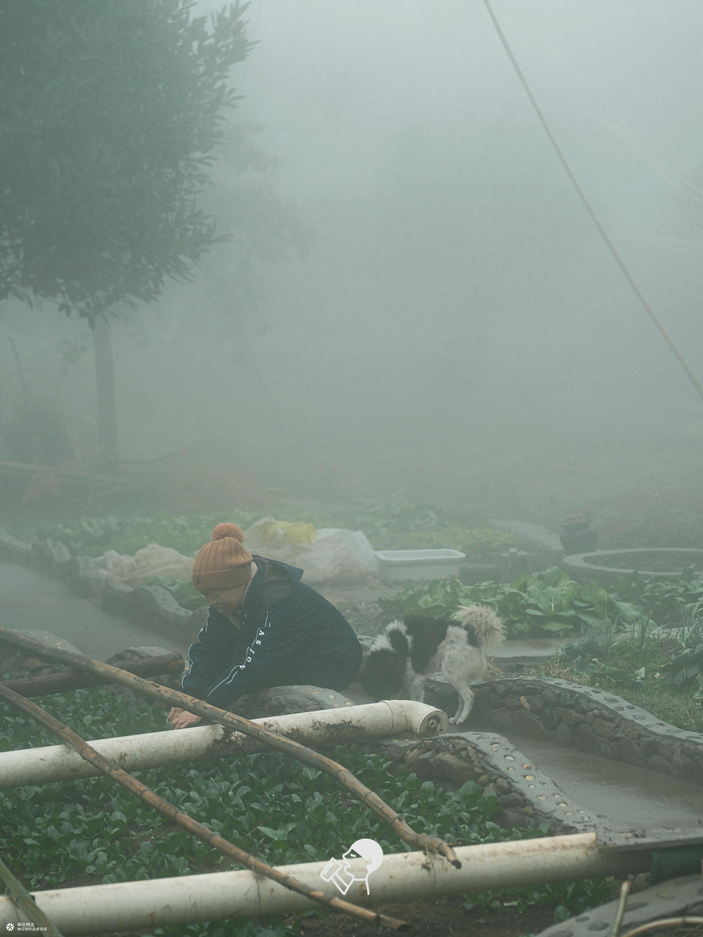 喜茶翻开了守茶人阿姨的茶园日记