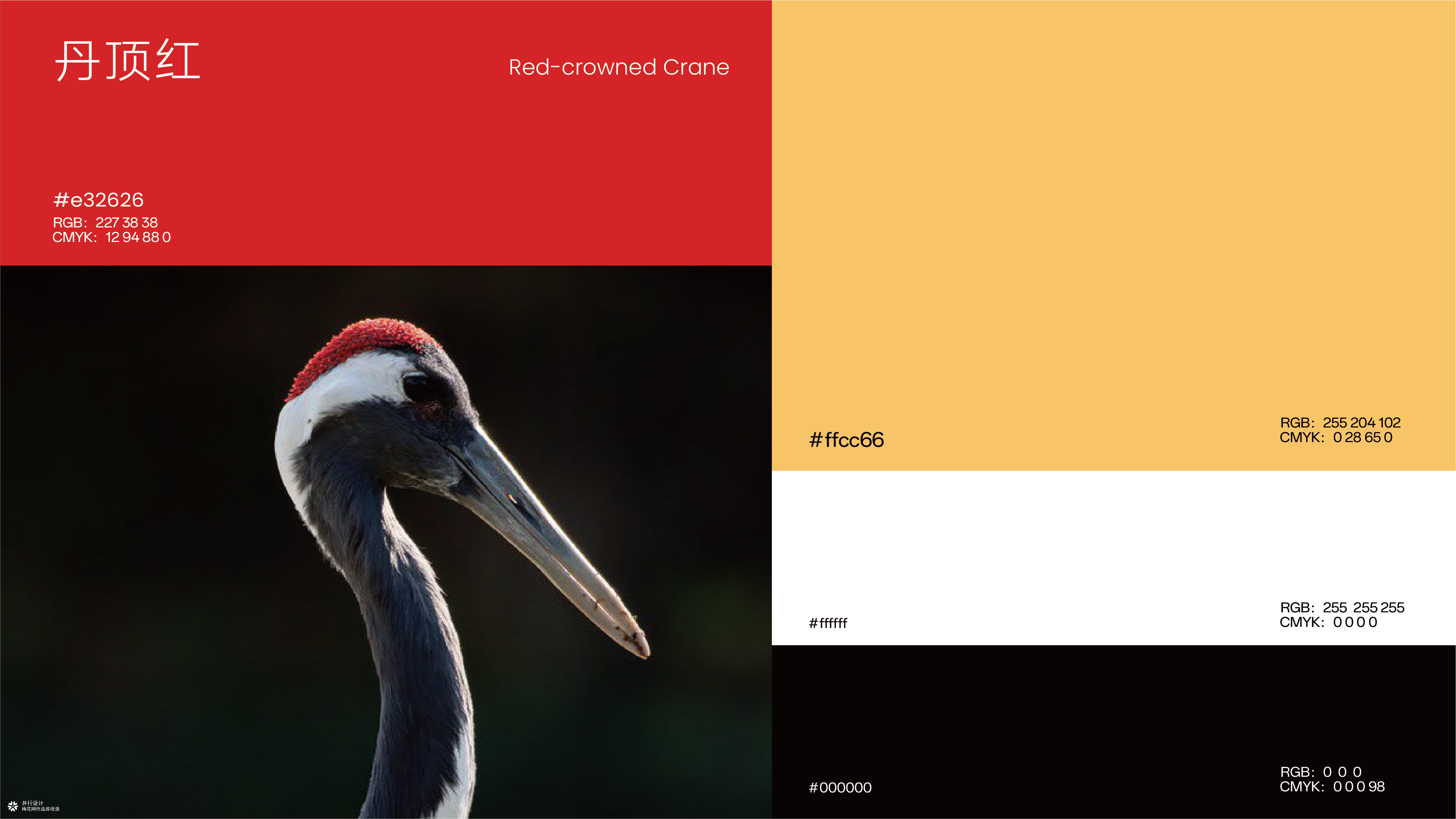 扬州足球参赛项目