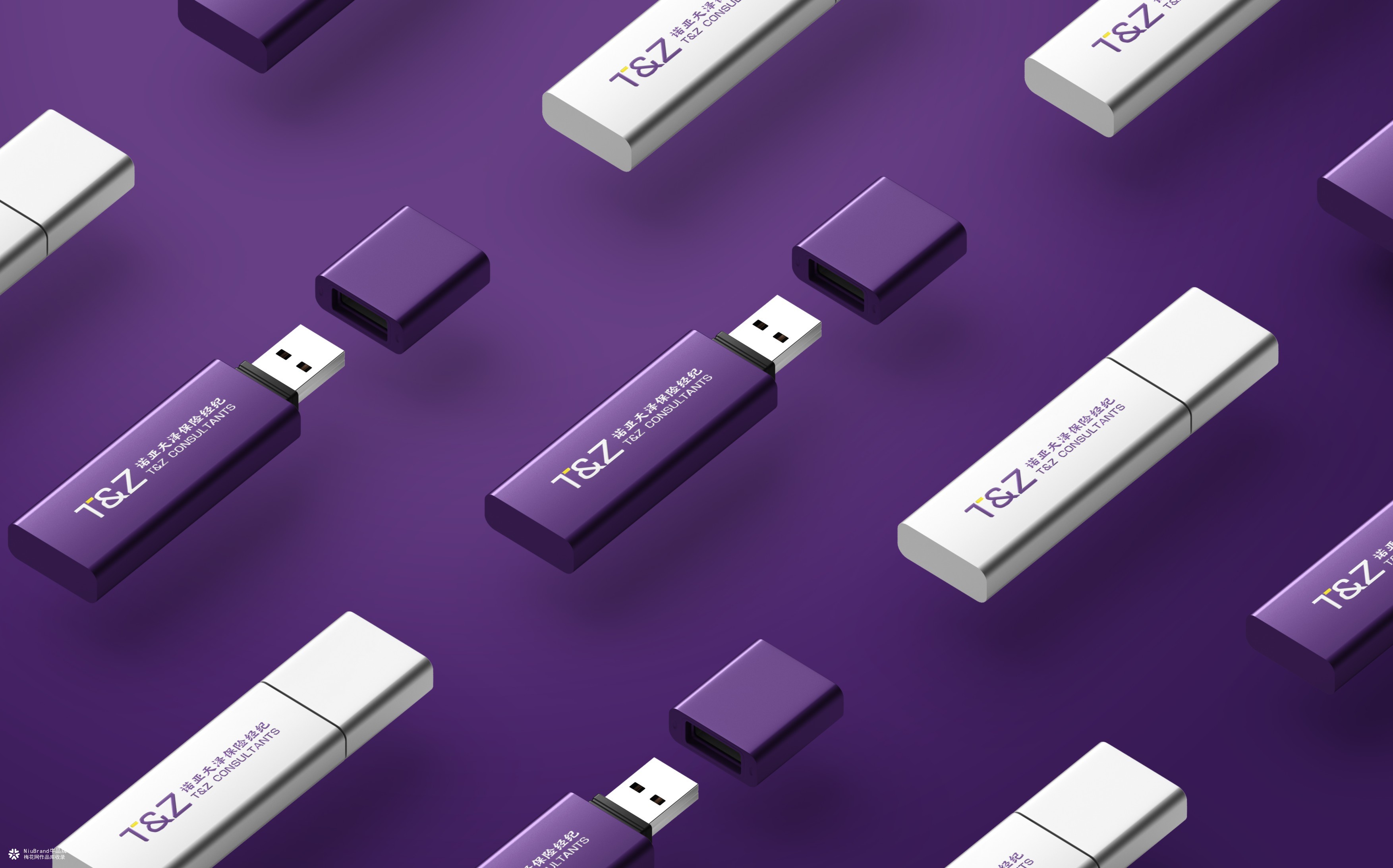 诺亚天泽保险经济品牌形象设计方案