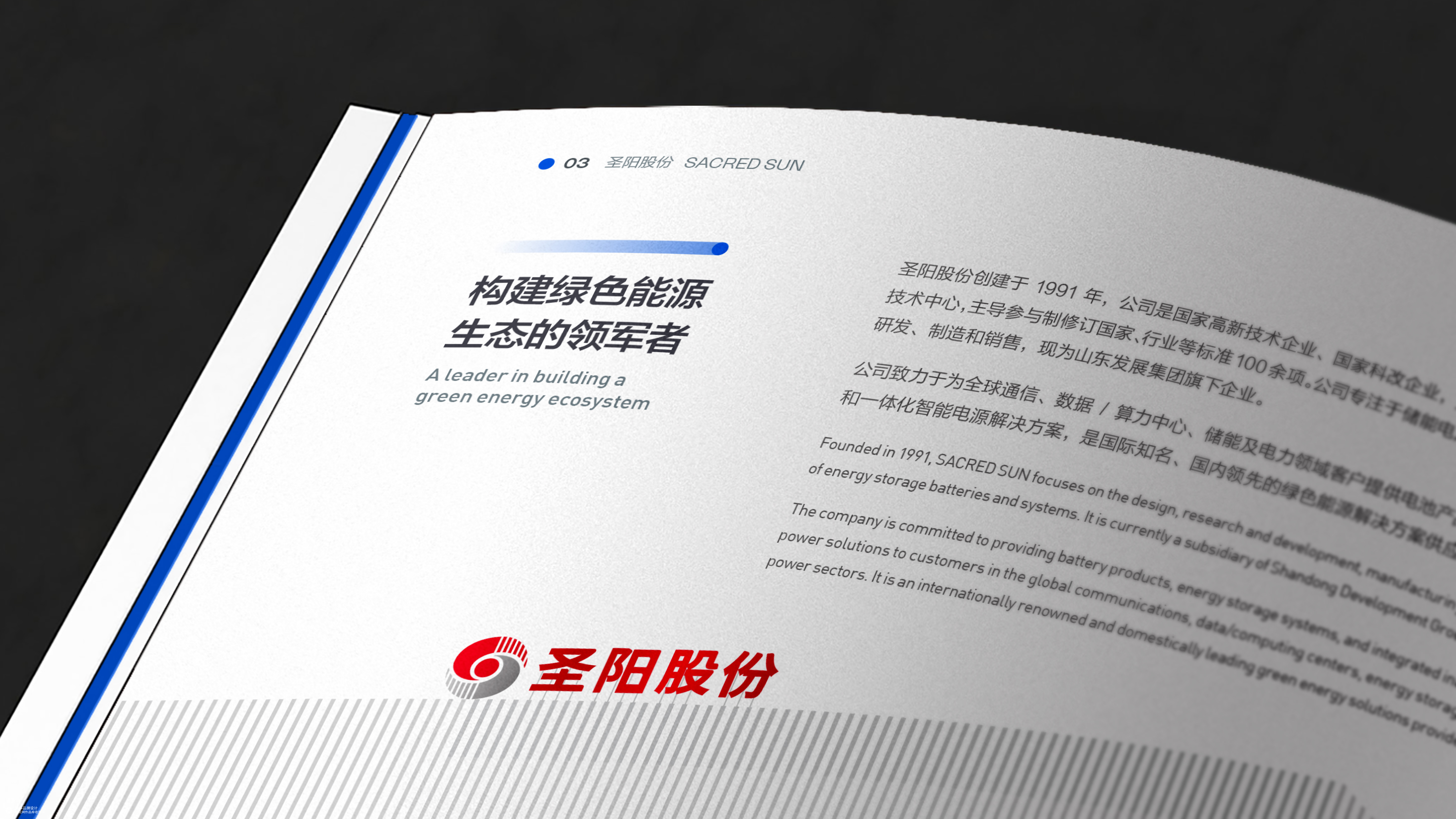 山东发展集团&圣阳股份新能源画册