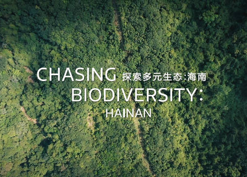 Discovery《探索多元生态：海南》影片