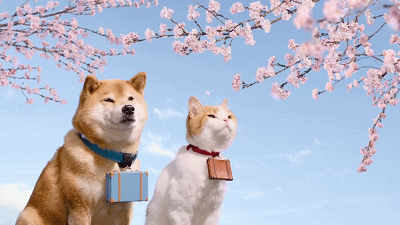 日本萌宠广告：和猫猫狗狗一齐开启春日幸福旅行