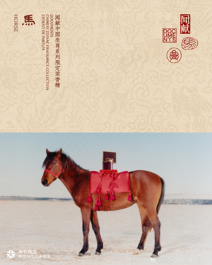 闻献马年新春｜跃马奔新，共赴欢腾