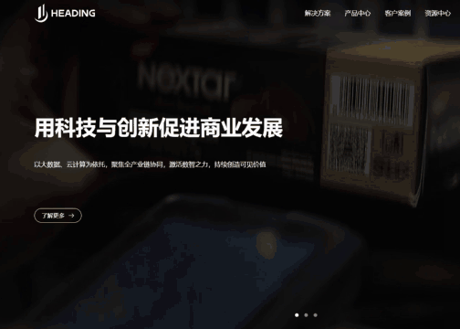 雍熙软件技术行业网站建设案例分享：上海海鼎官网