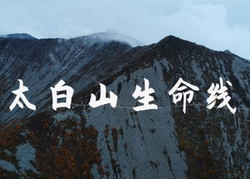 农夫山泉开年短片《太白山生命线》，致敬合作伙伴