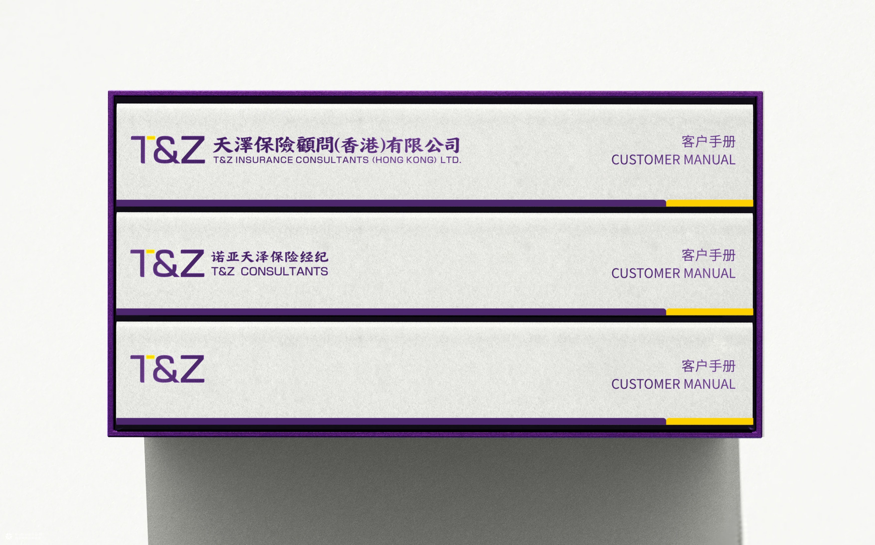 诺亚天泽保险经济品牌形象设计方案