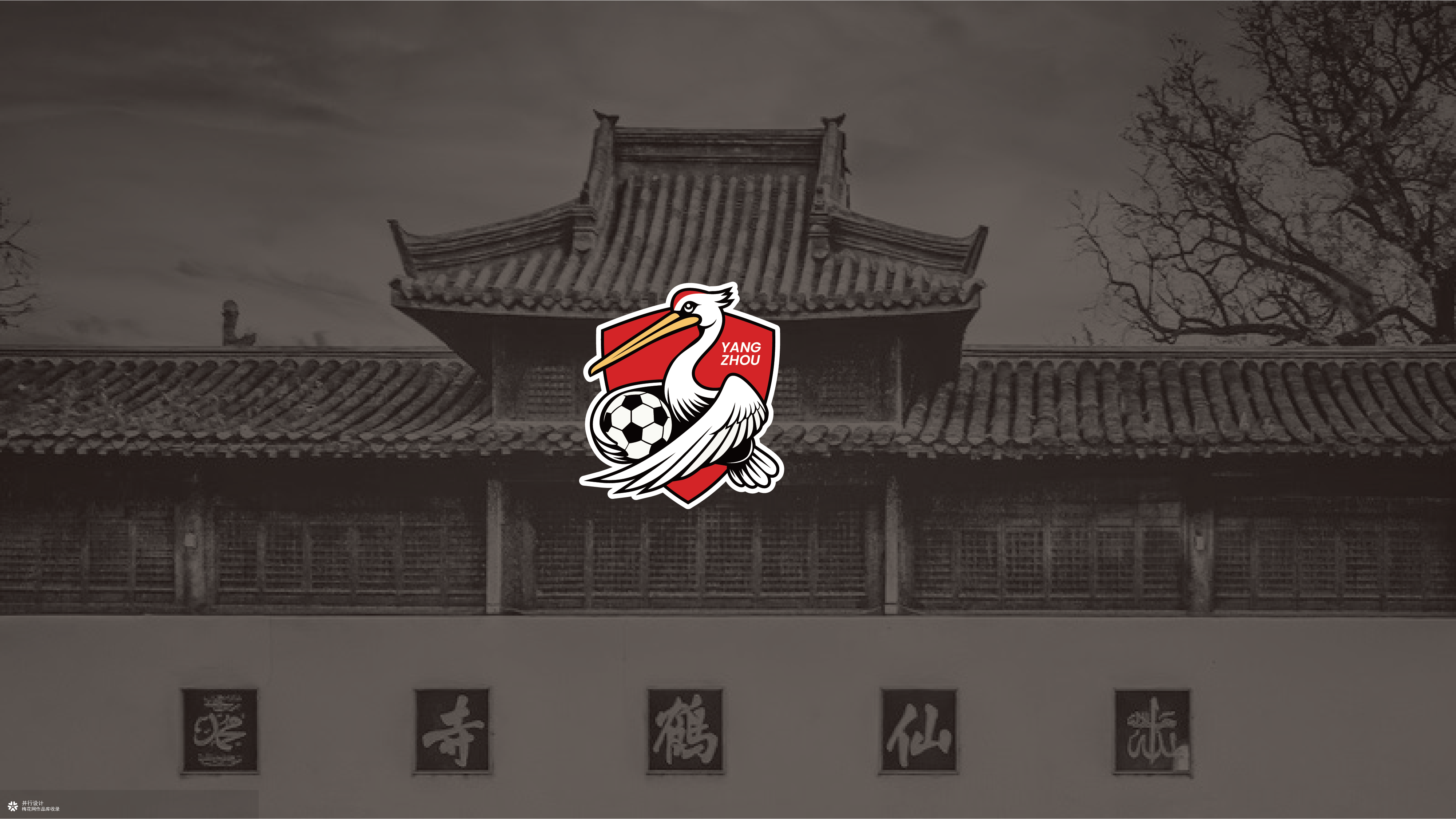 扬州足球参赛项目