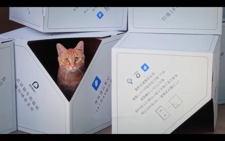 网易有道云笔记猫屋包装设计