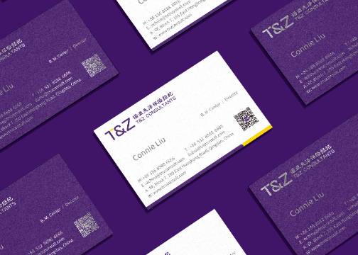 诺亚天泽保险经济品牌形象设计方案