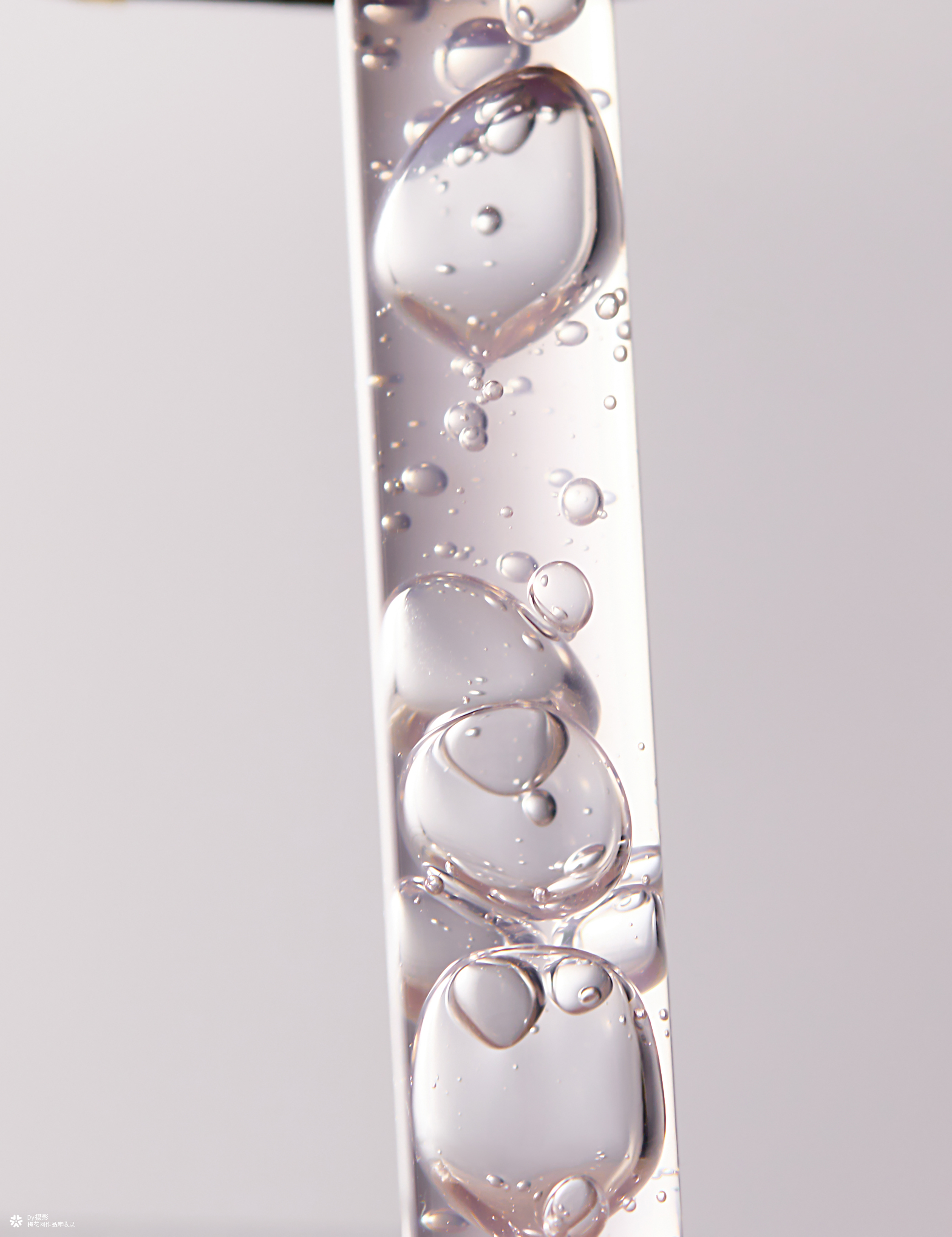 电商图片 | 棕熊医生 | GM