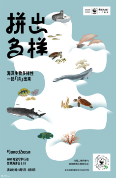 WWF：海洋生物多样性，一起「拼」出来