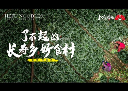 视频拍摄 | 和府捞面-黑塌菜溯源