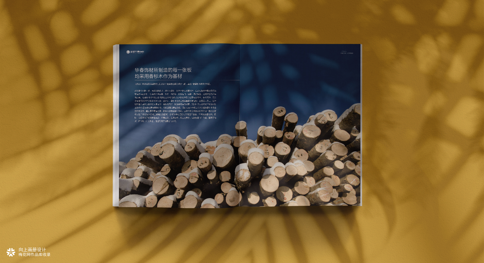 华春饰材生态板材画册设计｜向上画册设计