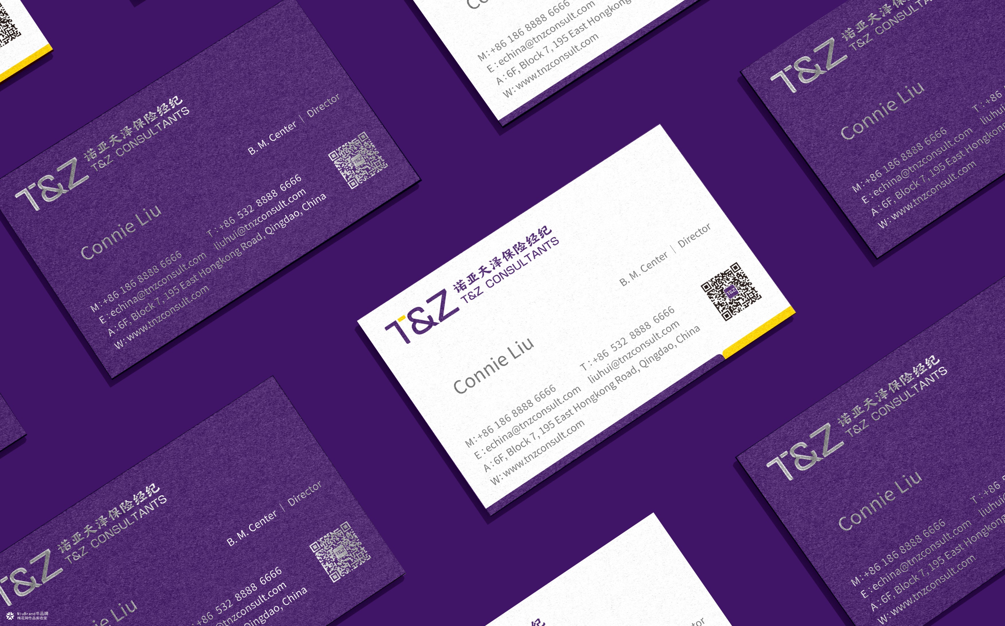 诺亚天泽保险经济品牌形象设计方案