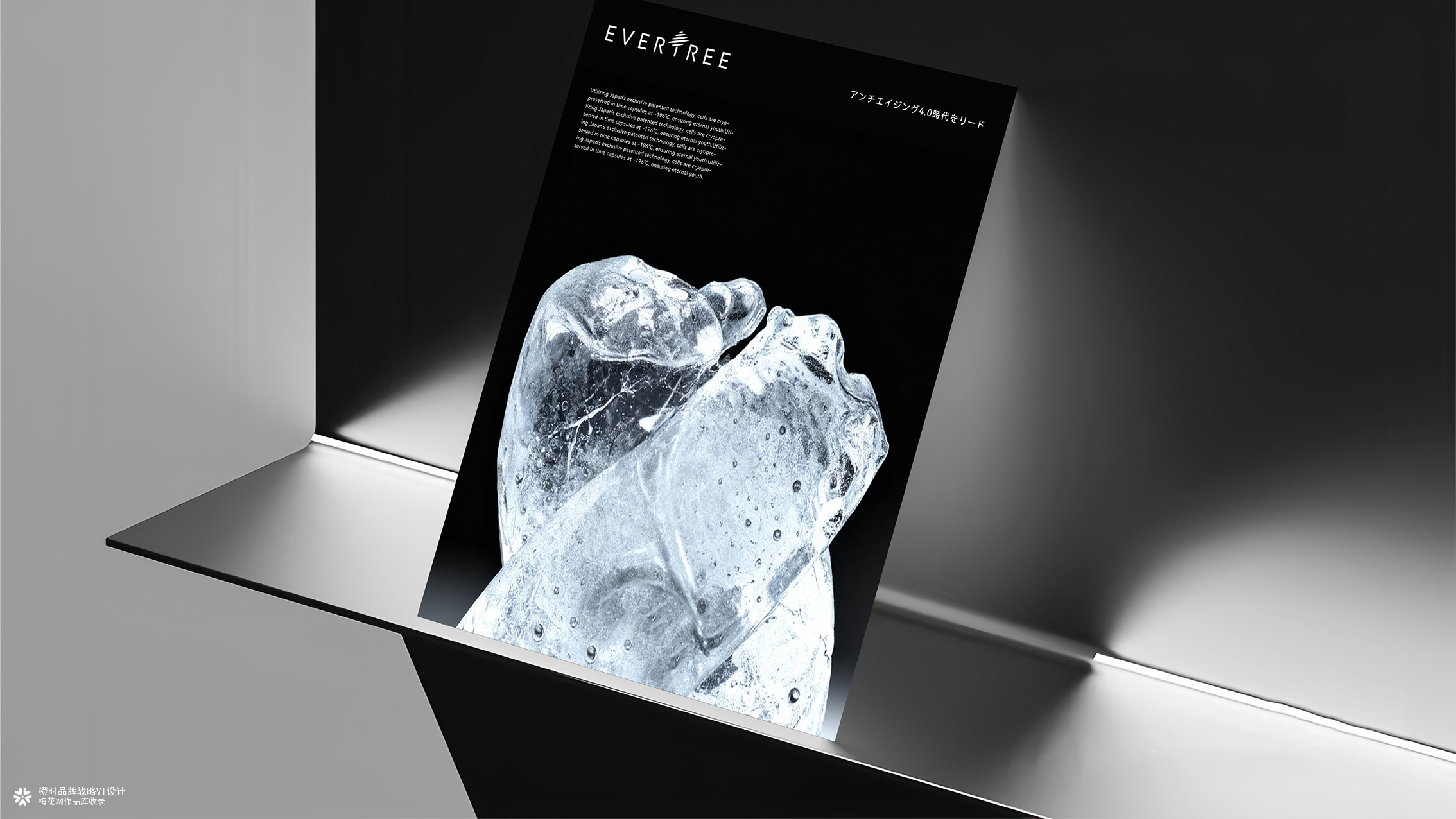 橙时 X 冻零树 | EVERTREE品牌形象设计