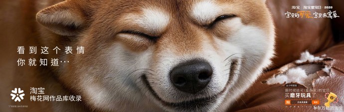 养了萌宠宝贝之后才发现，可爱还有很多种......